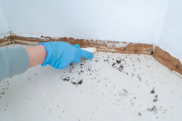 Best Pest Removal Services  in Cohasset, MN